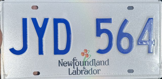 Current standard-issue license plate from Newfoundland and Labrador